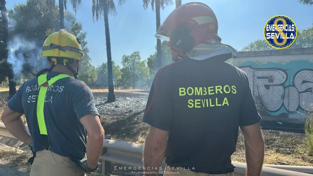 La Cartuja, de nuevo en llamas: tercer incendio en una semana