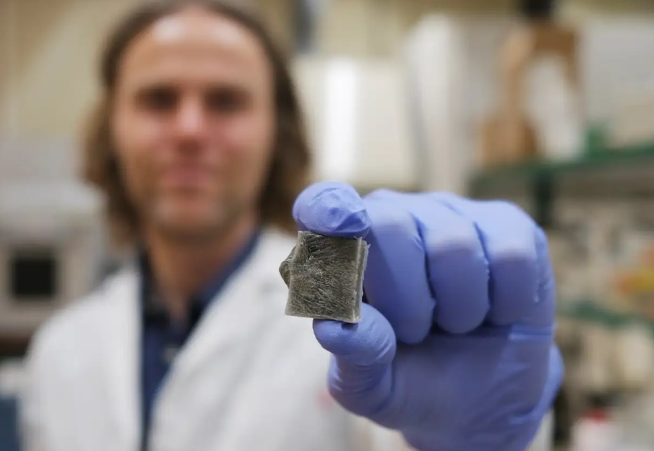 Materiales del futuro: algas marinas que generan energía y evitan incendios