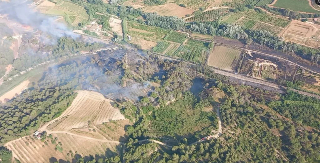 Plan de Prevención de Incendios Forestales en Sant Esteve de Sesrovires: Un Modelo de Seguridad y Sostenibilidad