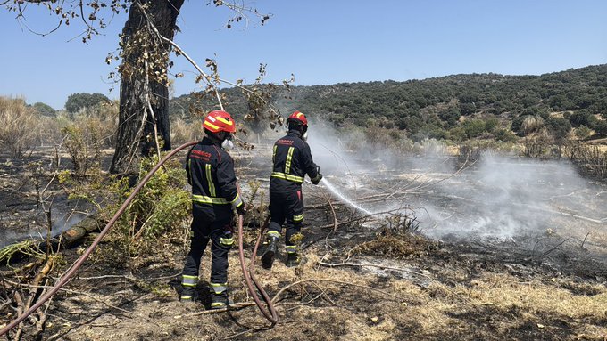 ¿Qué futuro le espera al sector primario de la Sierra Oeste tras el devastador incendio?