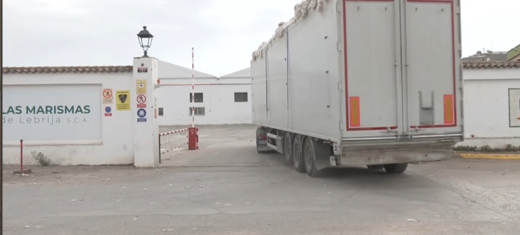 ÚLTIMA HORA | Un grave incendio arrasa de madrugada una nave con un millón de kilos de algodón en Lebrija