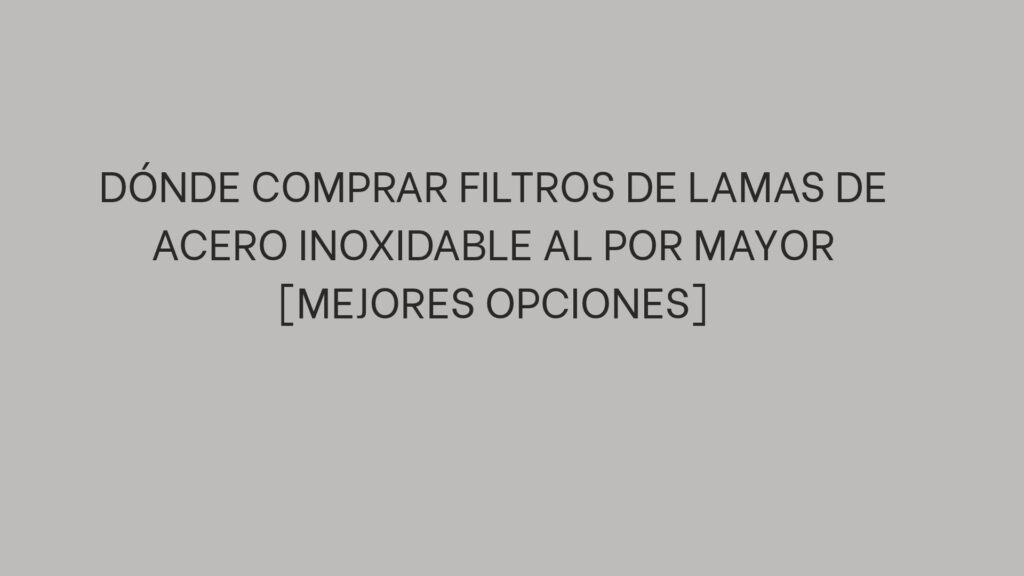 Dónde comprar filtros de lamas de acero inoxidable al por mayor (mejores opciones)
