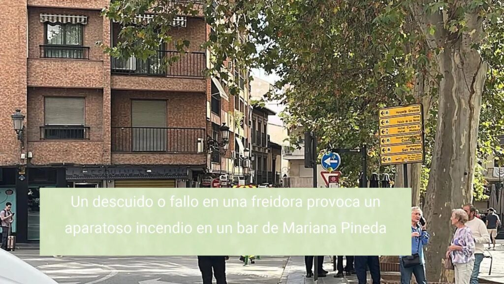 Un descuido o fallo en una freidora provoca un aparatoso incendio en un bar de Mariana Pineda