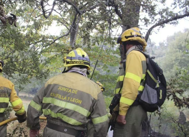 El fuego vuelve a golpear Aliste: más de una hectárea calcinada en un incendio sofocado tras horas de tensión